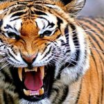 Jelas138 Situs Raja Judi Online Terpecaya 2022 Jelas138 Situs Raja Judi Online Terpecaya 2022